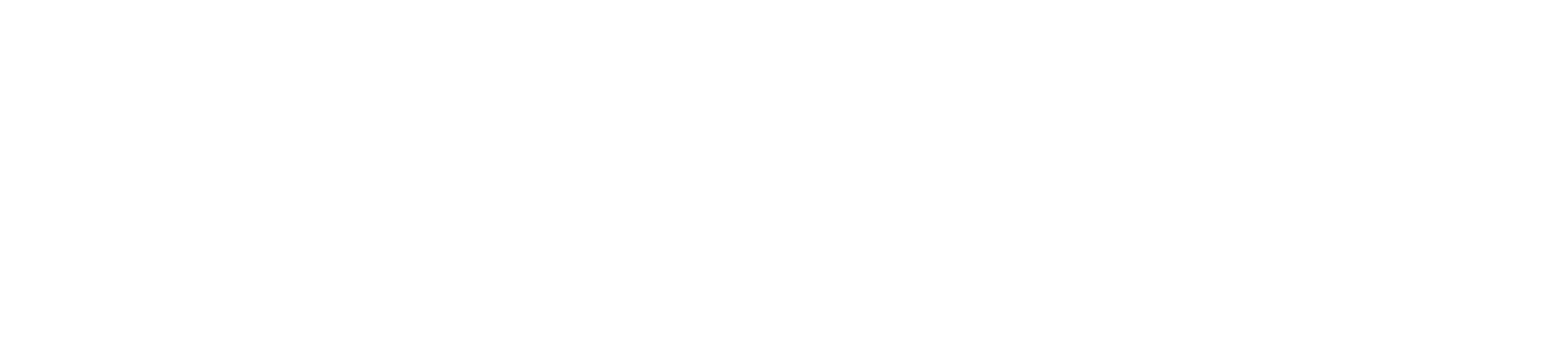 Mountainside Solutions Logo